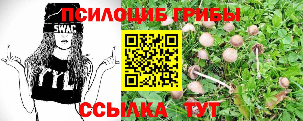 Псилоцибиновые грибы Magic Shrooms  Галлюциногенные грибы GOLDEN TEACHER  Новотроицк  Вход с VPN 